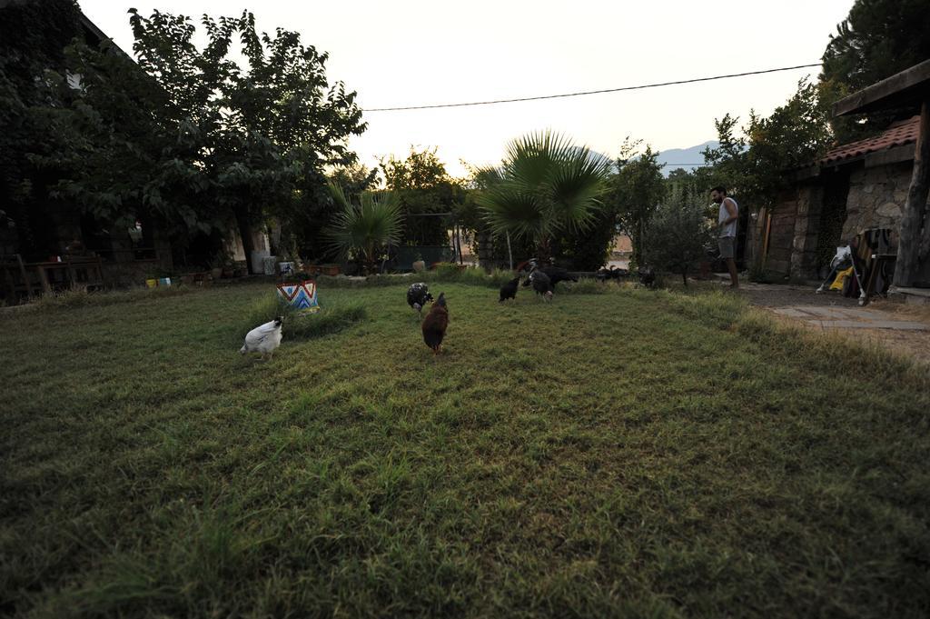 Olympos Koyevi Countryhouse Ngoại thất bức ảnh