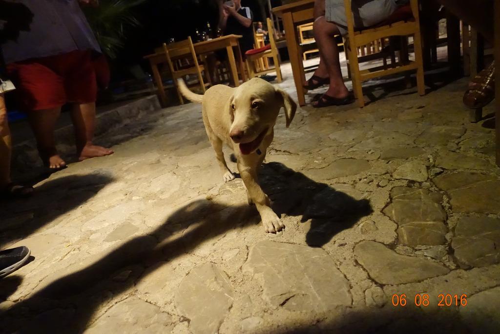 Olympos Koyevi Countryhouse Ngoại thất bức ảnh