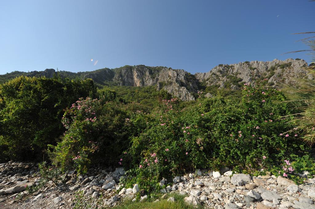 Olympos Koyevi Countryhouse Ngoại thất bức ảnh