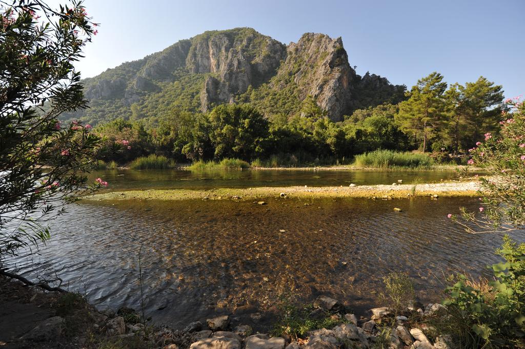 Olympos Koyevi Countryhouse Ngoại thất bức ảnh