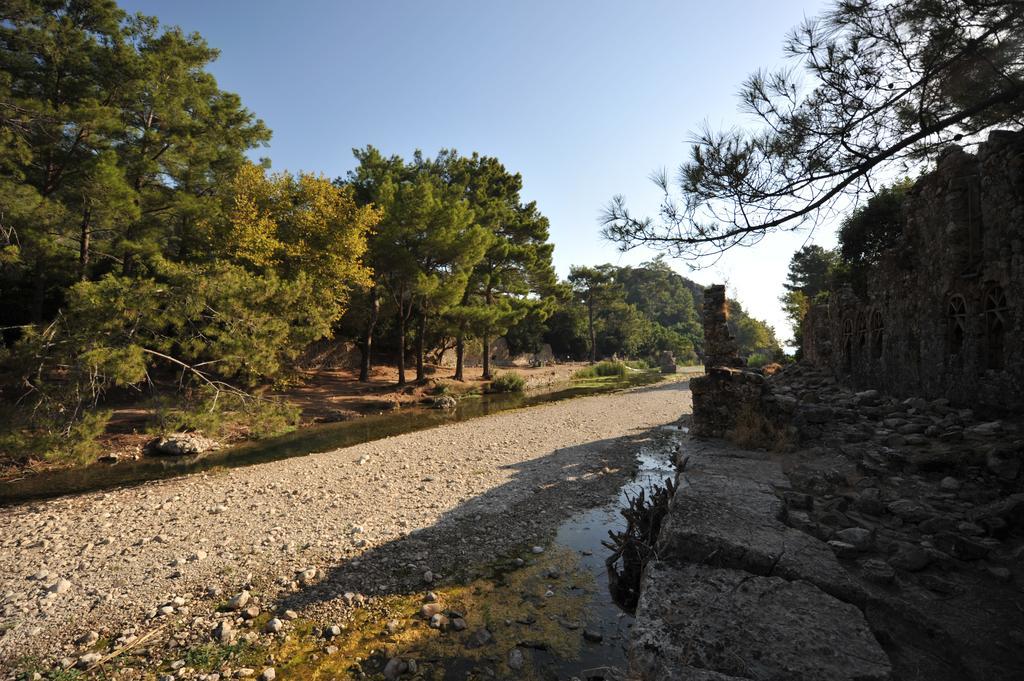 Olympos Koyevi Countryhouse Ngoại thất bức ảnh