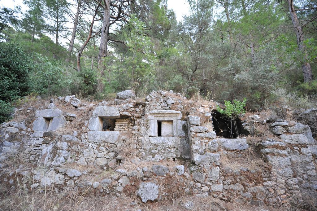 Olympos Koyevi Countryhouse Ngoại thất bức ảnh