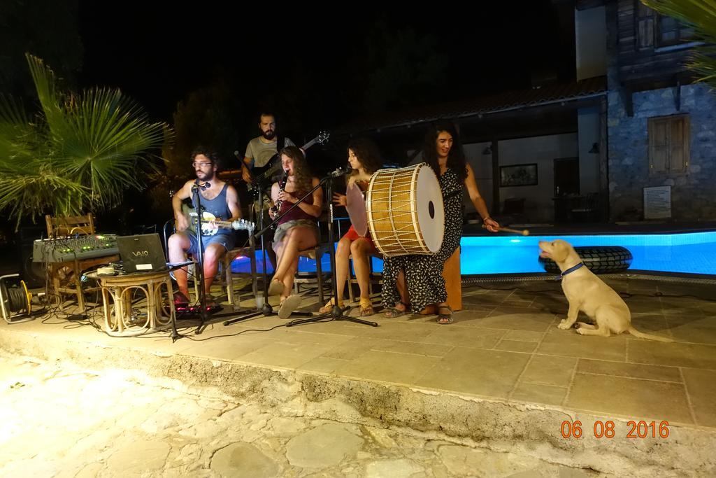 Olympos Koyevi Countryhouse Ngoại thất bức ảnh